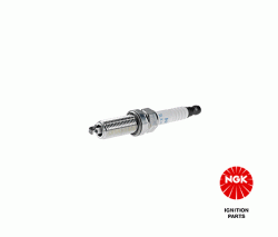 NGK 91121 Buji