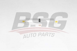 BSG 15130010 Yakıt Filtresi