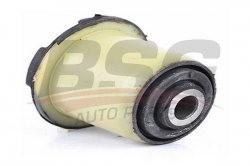 BSG 65700060 Salıncak Burcu Arka