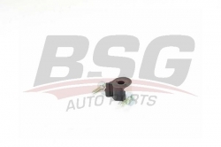 BSG 25700046 Viraj Demir Uç Lastiği