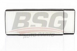 BSG 60145007 Polen Filtresi