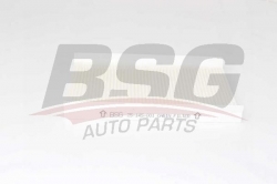 BSG 25145001 Polen Filtresi