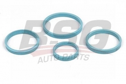 BSG 30116001 Yağ Soğutucu Contası