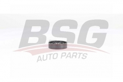 BSG 75615009 V Kayış Gergi Rulmanı
