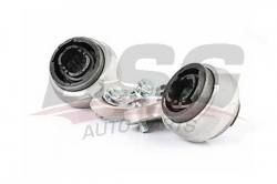 BSG 15700007 Salıncak Burcu