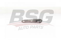 BSG 30310154 Rotil Alt