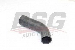 BSG 30720256 Manifold Hortumu