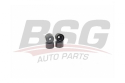 BSG 90230005 Bijon Kapağı