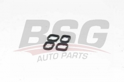 BSG 15116004 Yağ Radyatör Contası