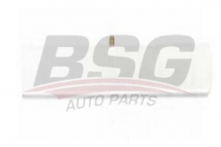 BSG 65924024 Kapı Bandı Arka Sağ