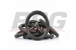 BSG 30922074 Emme Manifold Oringi Takım