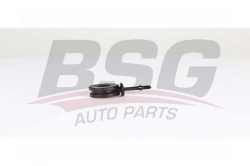 BSG 90310205 Viraj Askı Rotu Ön