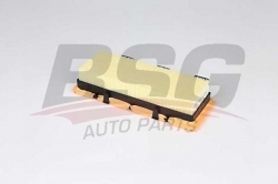 BSG 75135009 Hava Filtresi