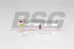 BSG 90130041 Yakıt Filtresi