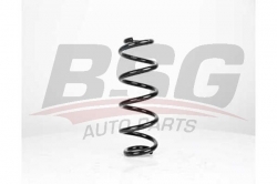 BSG 90305005 Helezon Yayı Ön