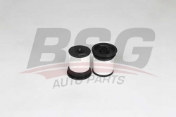 BSG 16130002 Yakıt Filtresi