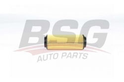 BSG 60140019 Yağ Filtresi