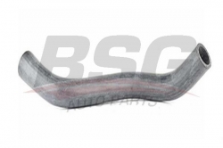 BSG 40720024 Radyatör Hortumu Alt