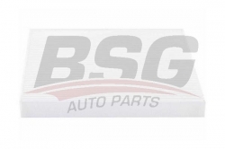 BSG 40145008 Polen Filtresi