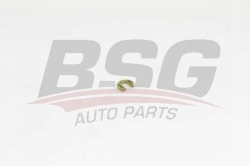 BSG 90975016 Kapı Kilit Segmanı