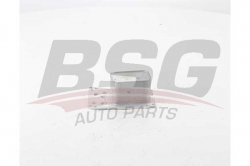 BSG 15506012 Yağ Radyatörü