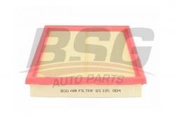BSG 65135004 Hava Filtresi