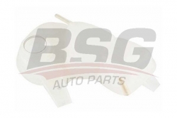 BSG 65550005 Radyatör Yedek Su Deposu