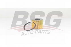 BSG 65130010 Yakıt Filtresi
