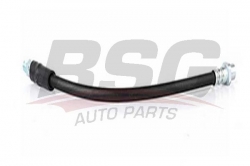 BSG 15730014 Fren Hortumu Ön
