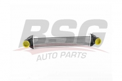 BSG 60535020 Turbo Radyatörü