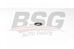 BSG 30116128 Prizdirek Keçesi