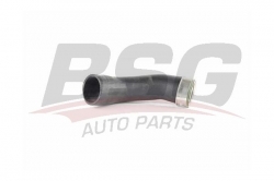 BSG 90720090 Turbo Hortumu