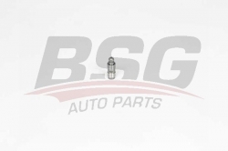 BSG 40122025 Supap Itıcı