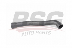 BSG 15720031 Radyatör Hortumu Alt