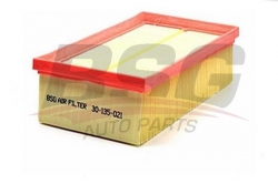 BSG 30135021 Hava Filtresi