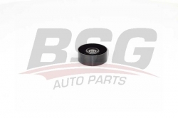 BSG 60615019 V Kayış Gergi Rulmanı