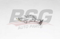 BSG 75101009 Yağ Pompası