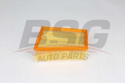 BSG 75135025 Hava Filtresi