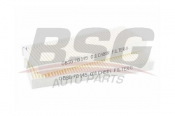 BSG 70145011 Polen Filtresi