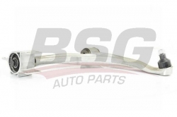 BSG 60315044 Salıncak Ön Sağ