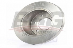 BSG 60210018 Fren Diski Arka