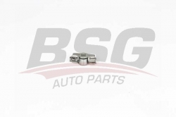 BSG 90122016 Pıyano Tusu
