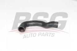BSG 65700349 Turbo Hortumu