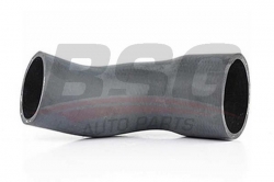 BSG 60720012 Turbo Hortumu