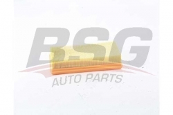 BSG 75135010 Hava Filtresi