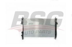 BSG 60520038 Su Radyatörü