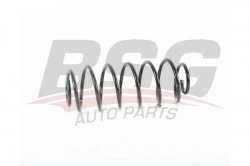 BSG 30305026 Helezon Yayı Arka