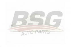BSG 30810023 Çamurluk Sinyali
