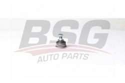 BSG 90310196 Rotil Alt