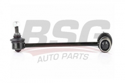 BSG 40310041 Viraj Askı Rotu Ön Sol
